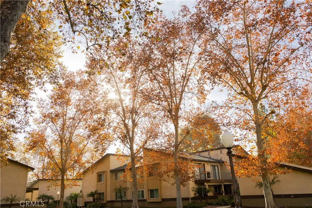 Additional image 107 of 1219 N Edwards Street Unit 33, Redlands, CA 92374