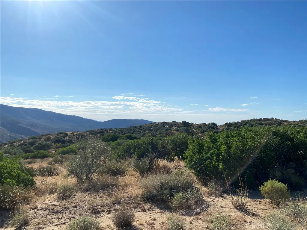 Additional image 14 of 63151 Table Mountain Truck, Anza, CA 92561