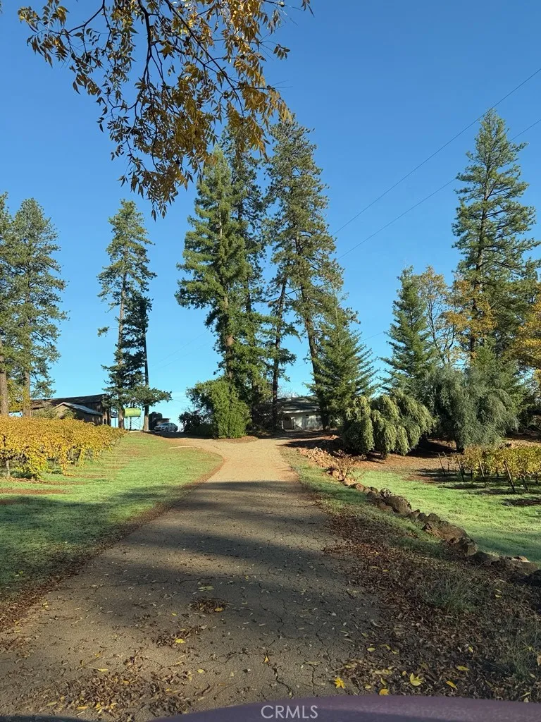 Additional image 90 of 9250 South State Highway, Lower Lake, CA 95457