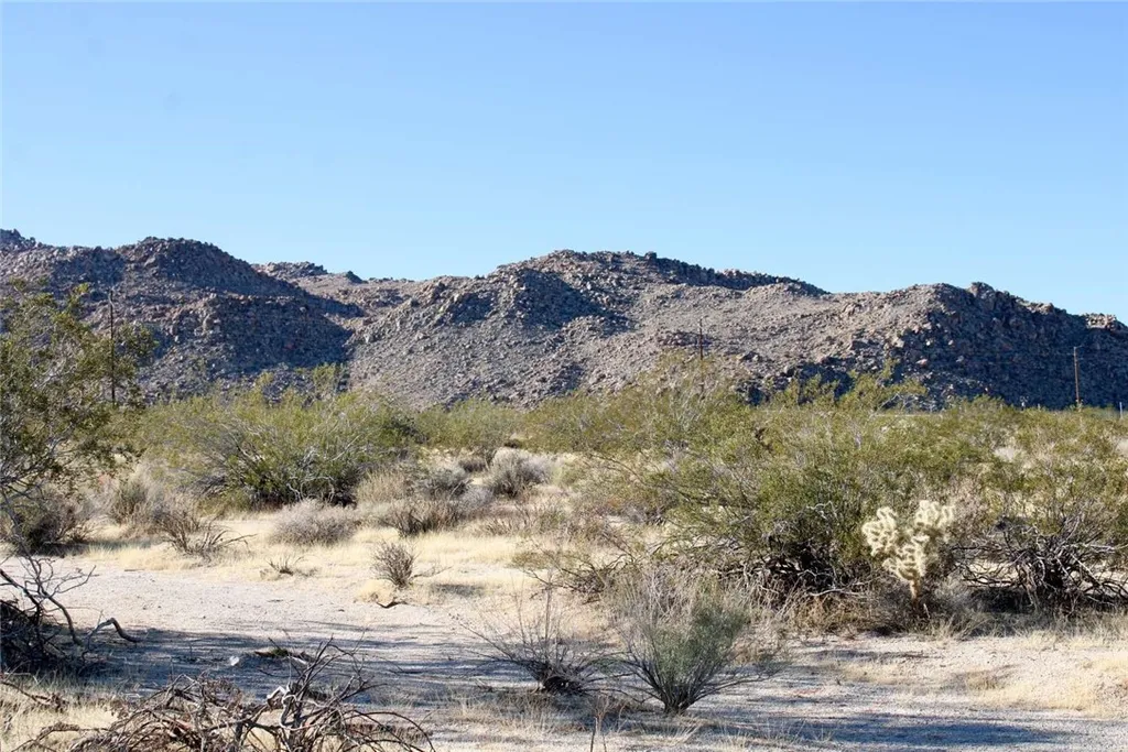 Additional image 8 of 659904 Dorth Place, 29 Palms, CA 92277