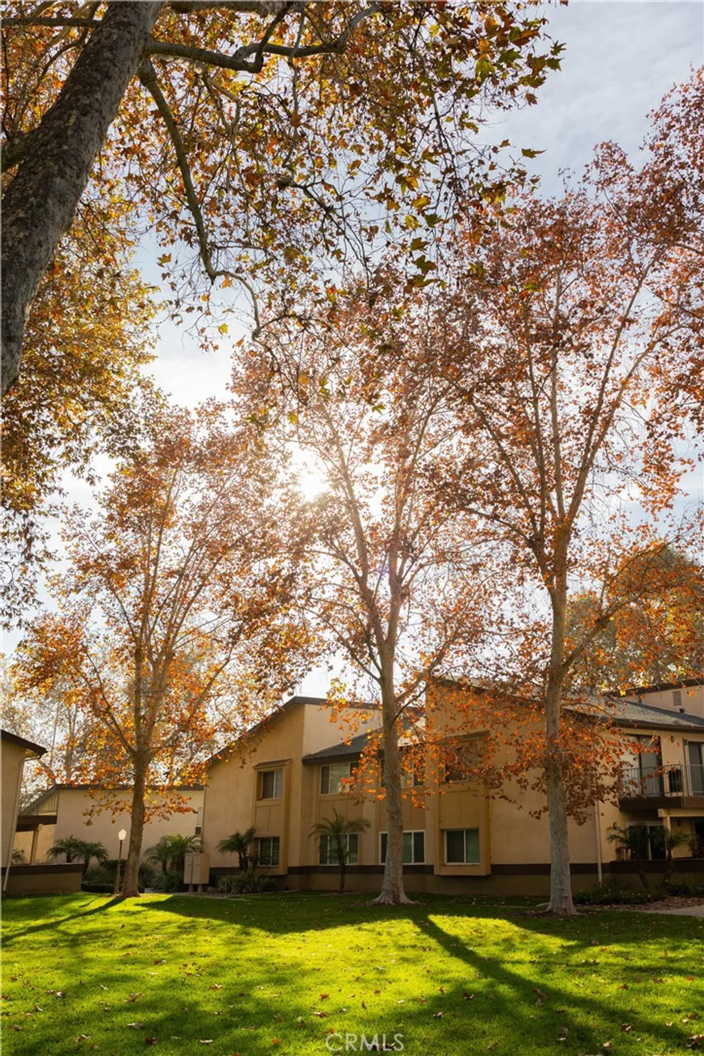 Additional image 54 of 1219 N Edwards Street Unit 33, Redlands, CA 92374