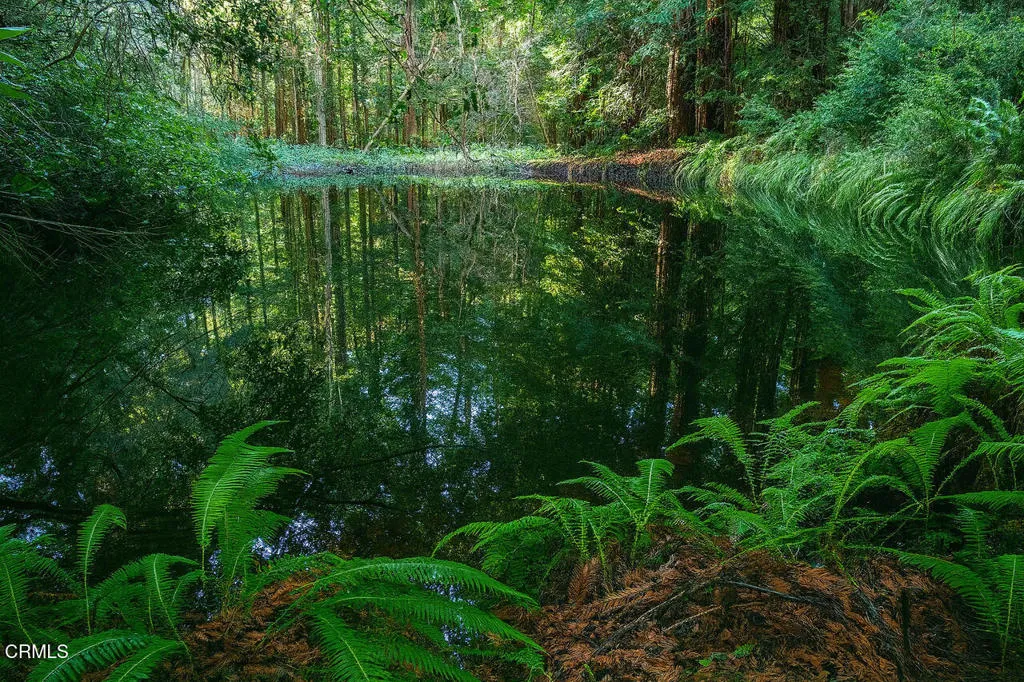 Additional image 20 of 43535 Comptche Ukiah Road, Mendocino, CA 95460