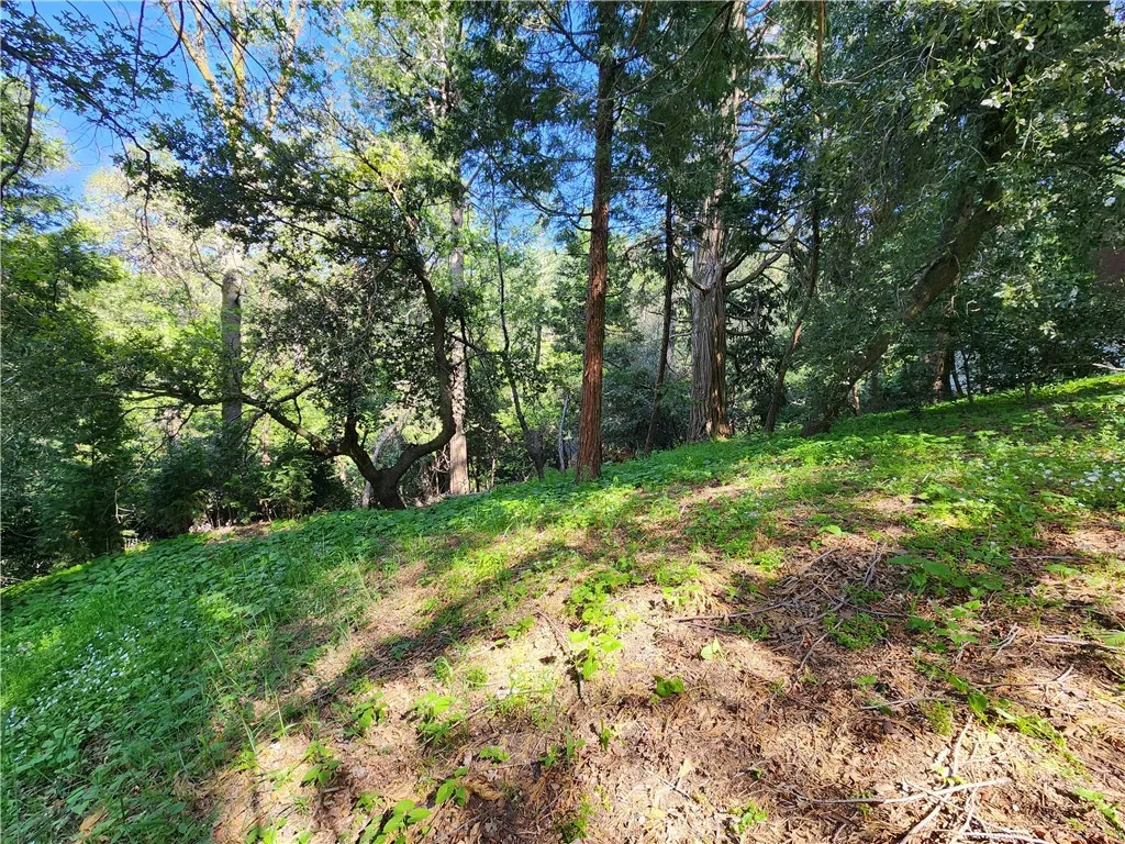 Additional image 20 of 811 Deer Trail, Crestline, CA 92325