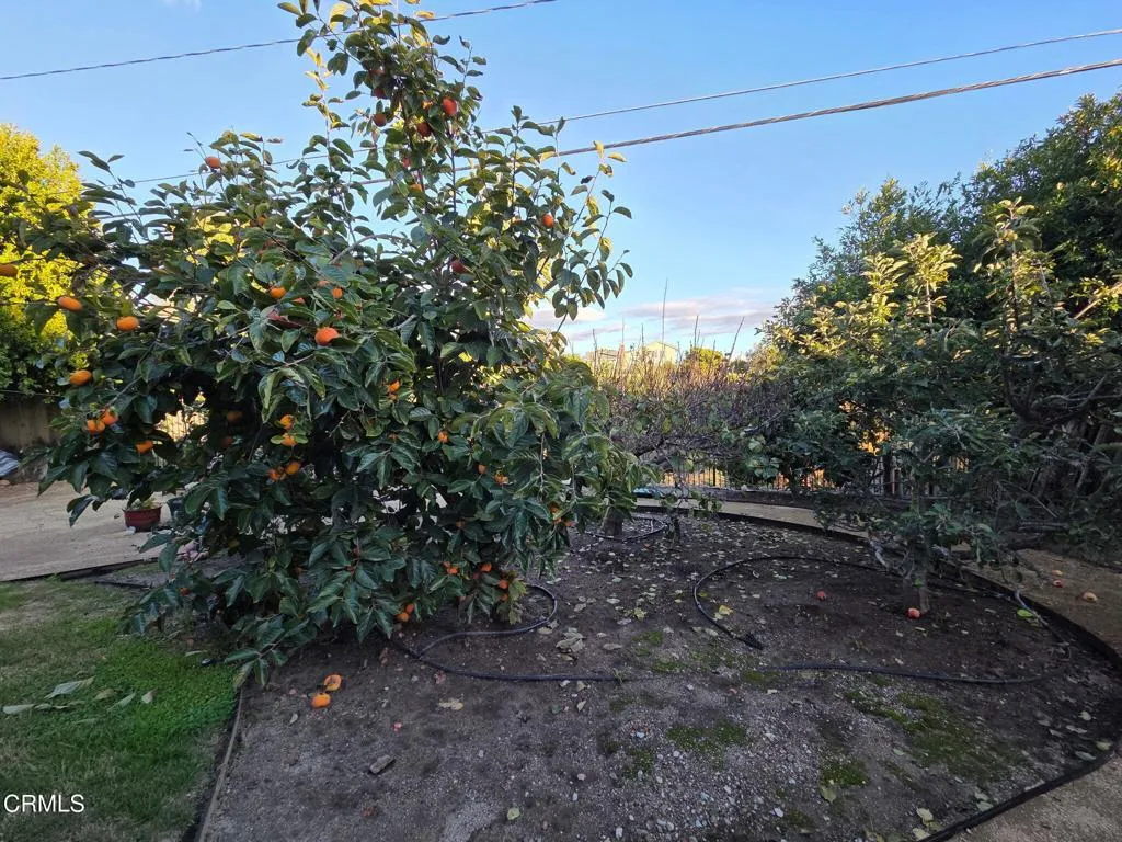 Additional image 90 of 448 Court Avenue, Ventura, CA 93003