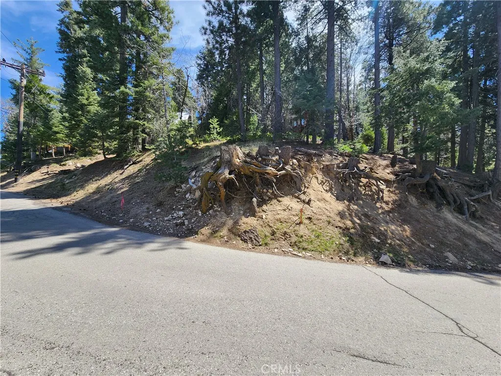 Additional image 6 of 586 Rose Ln, Twin Peaks, CA 92391