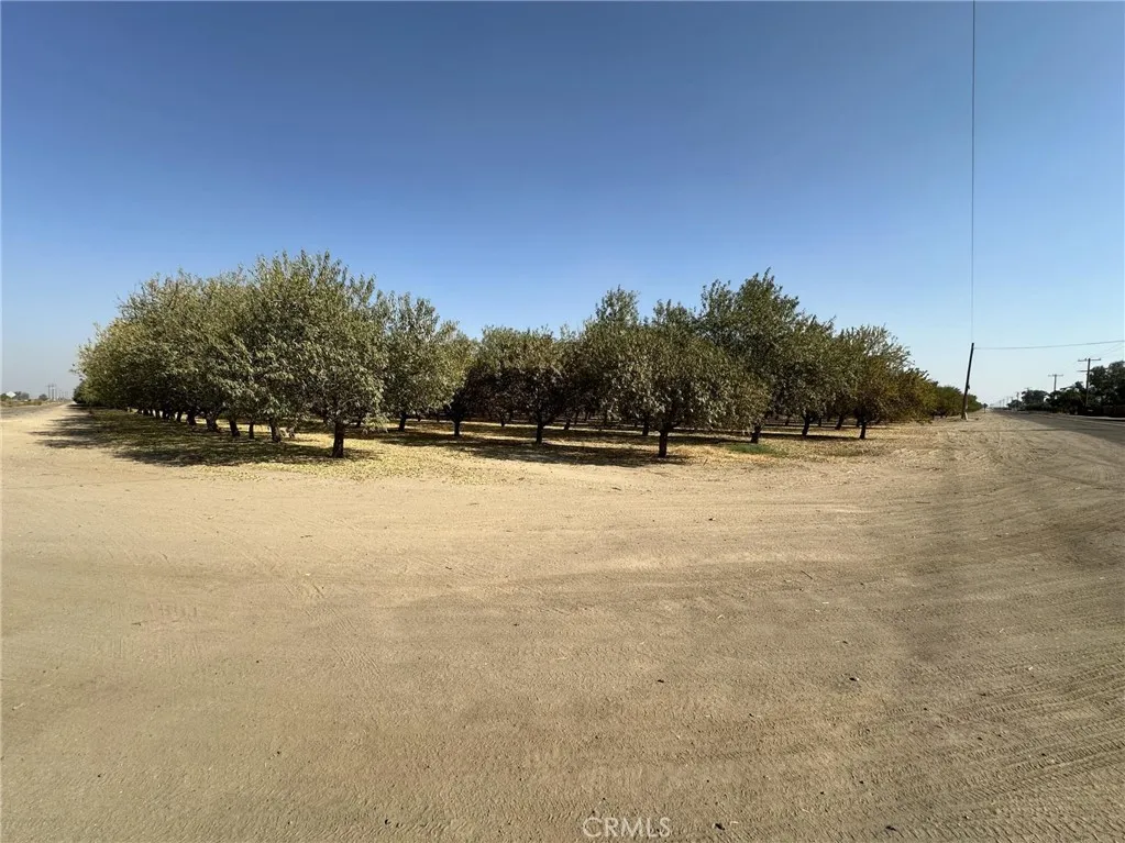 Additional image 14 of 27726 N Palm St, , CA 93256