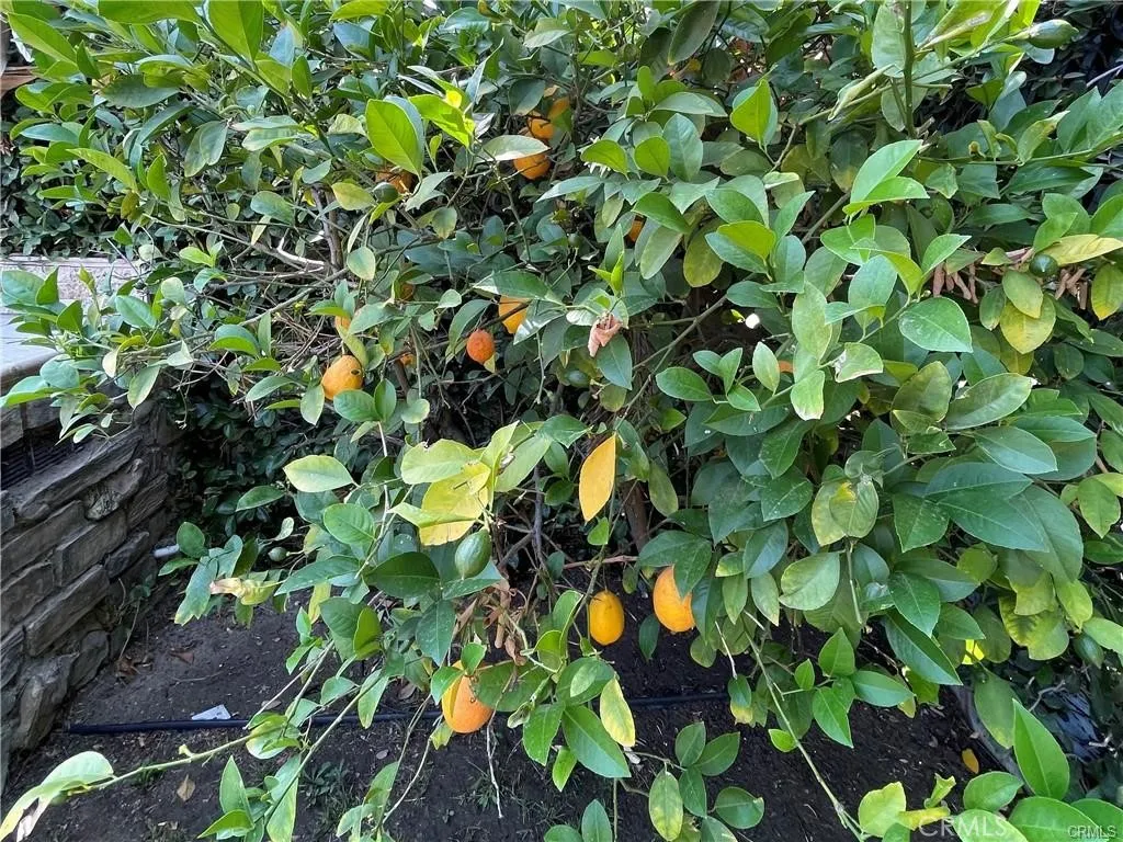 Additional image 34 of 20329 Haynes Street, Winnetka, CA 91306