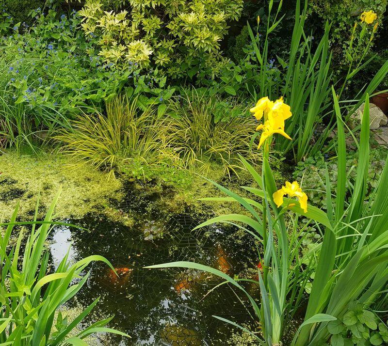 Additional image 19 of 174 Portland Road, Edgbaston, B16 9TD