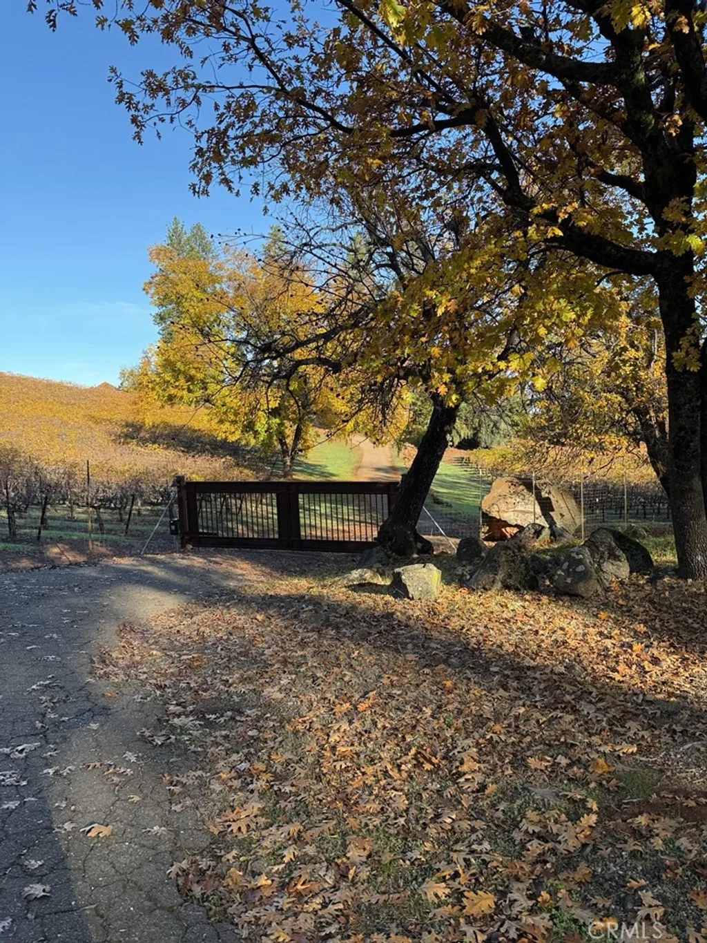 Additional image 45 of 9250 South State Highway, Lower Lake, CA 95457