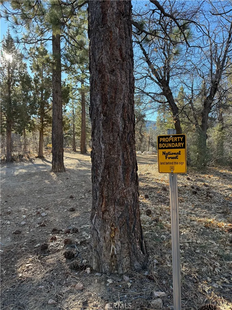 Additional image 11 of San Bernardino, Sugarloaf, CA 92386