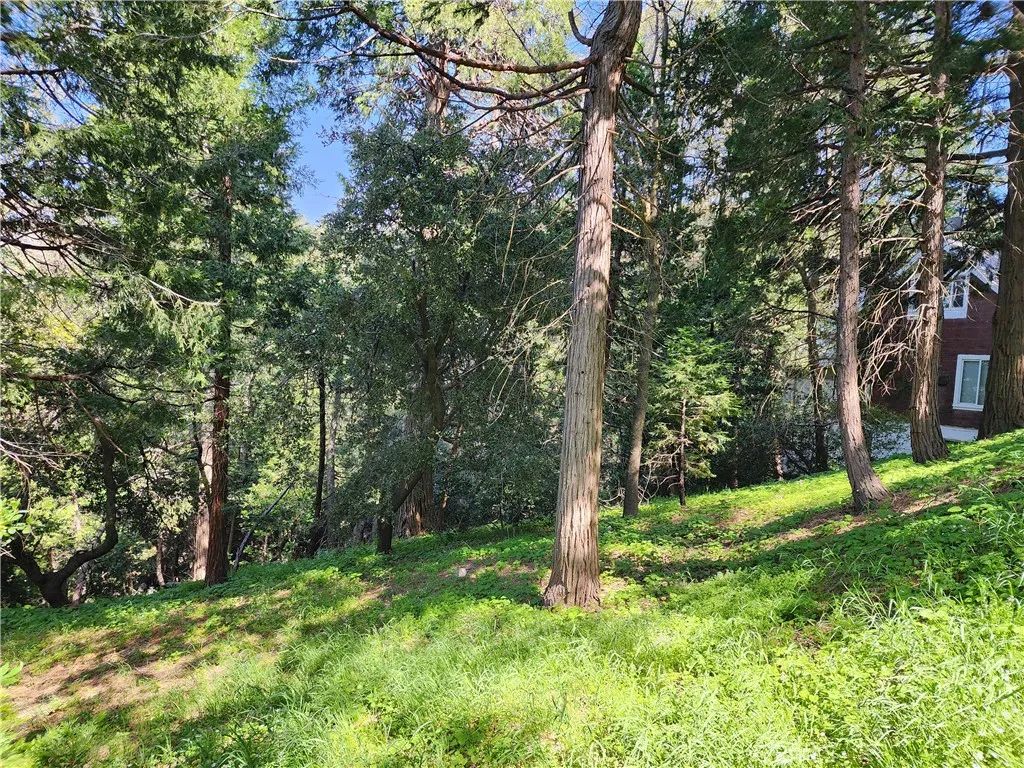 Additional image 14 of 811 Deer Trail, Crestline, CA 92325