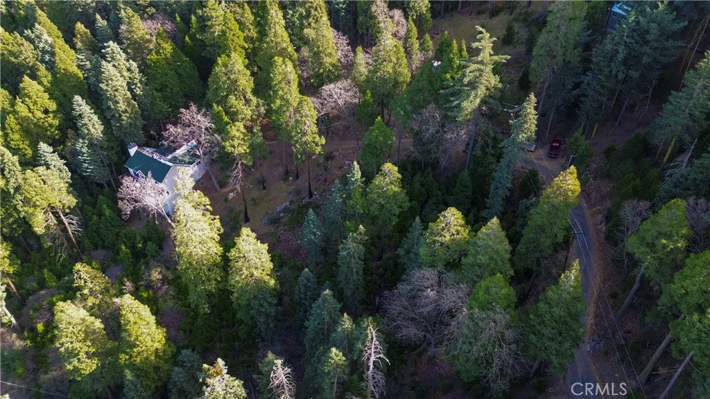 Additional image 26 of 21614 Canyon Vista, Crestline, CA 92322