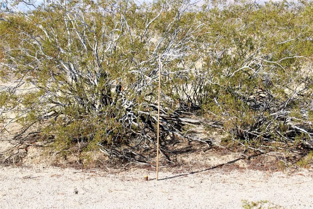 Additional image 30 of 659904 Dorth Place, 29 Palms, CA 92277