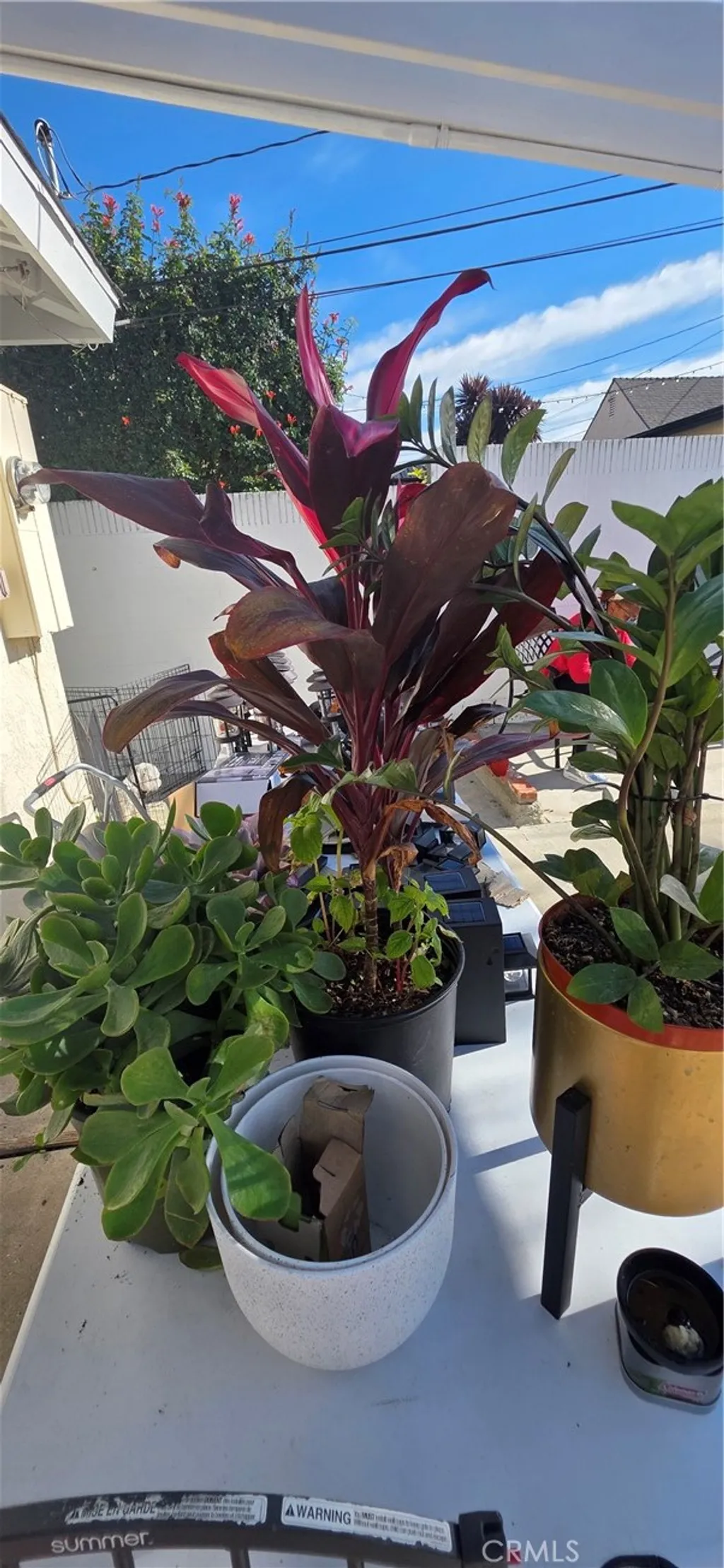 Additional image 30 of 1179 W 19th St, San Pedro, CA 90731