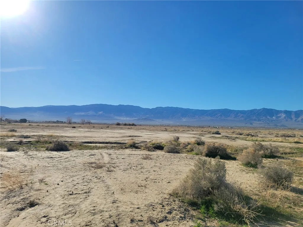 Additional image 32 of Locust, Lucerne Valley, CA 92356
