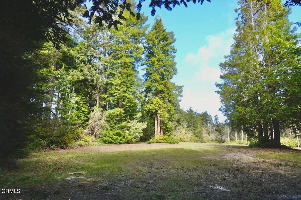 Additional image 11 of 43535 Comptche Ukiah Road, Mendocino, CA 95460