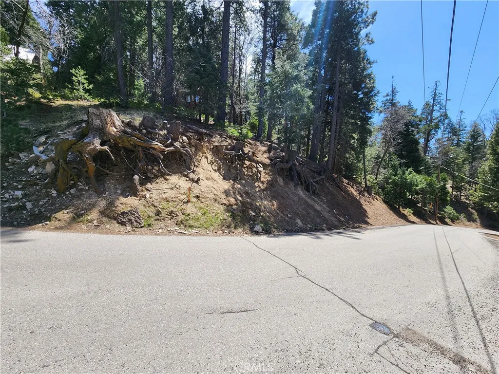 Additional image 28 of 586 Rose Ln, Twin Peaks, CA 92391