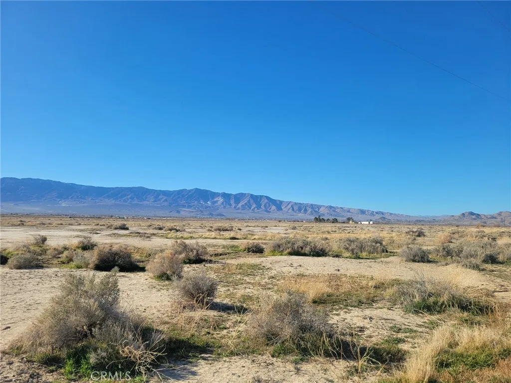 Additional image 31 of Locust, Lucerne Valley, CA 92356