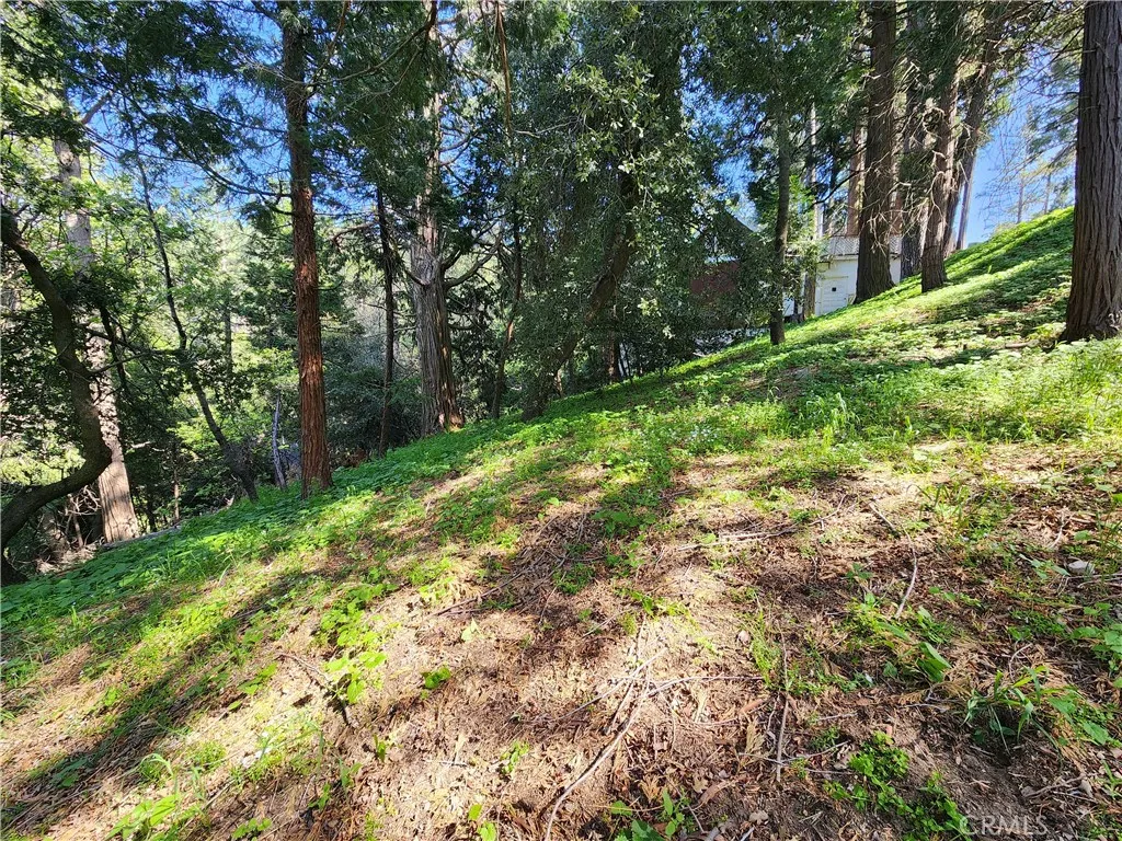 Additional image 19 of 811 Deer Trail, Crestline, CA 92325