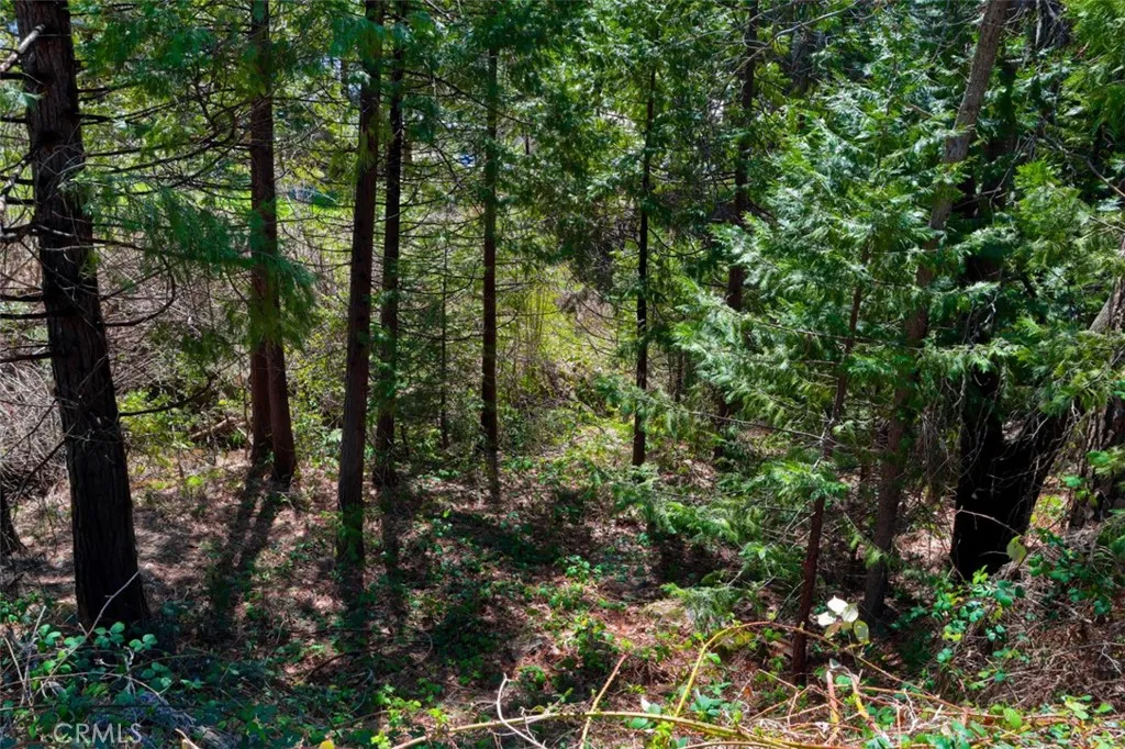 Additional image 56 of Dogwood Creek Drive, Bass Lake, CA 93604