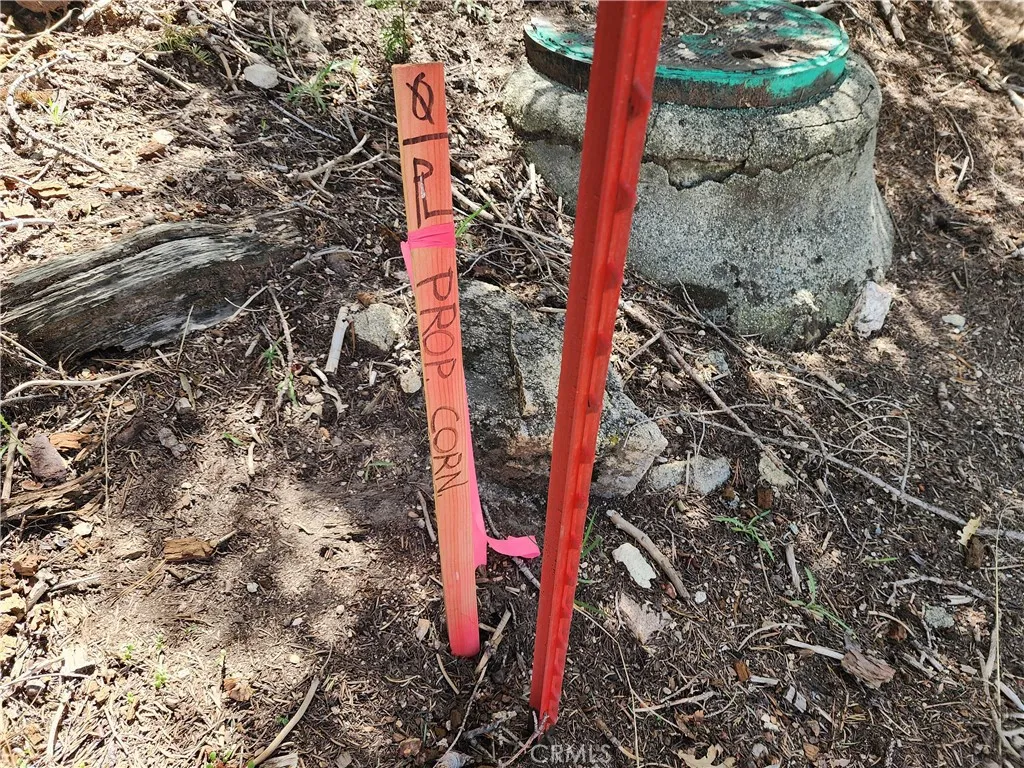 Additional image 34 of 586 Rose Ln, Twin Peaks, CA 92391