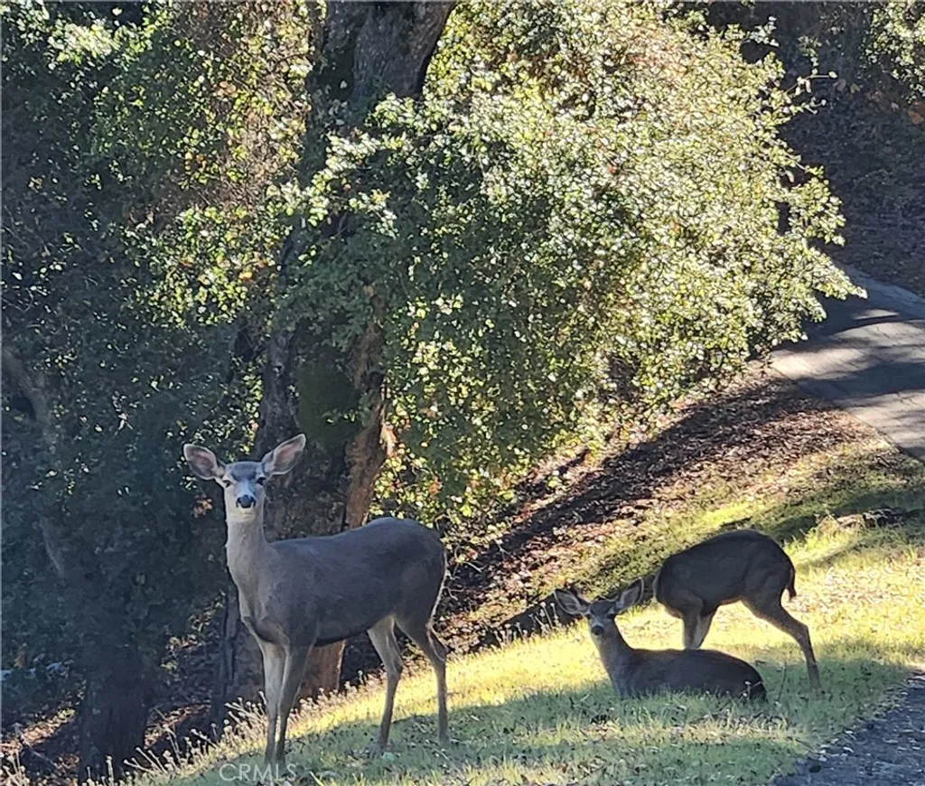 Additional image 2 of 2155 San Fernando Rd, Atascadero, CA 93422