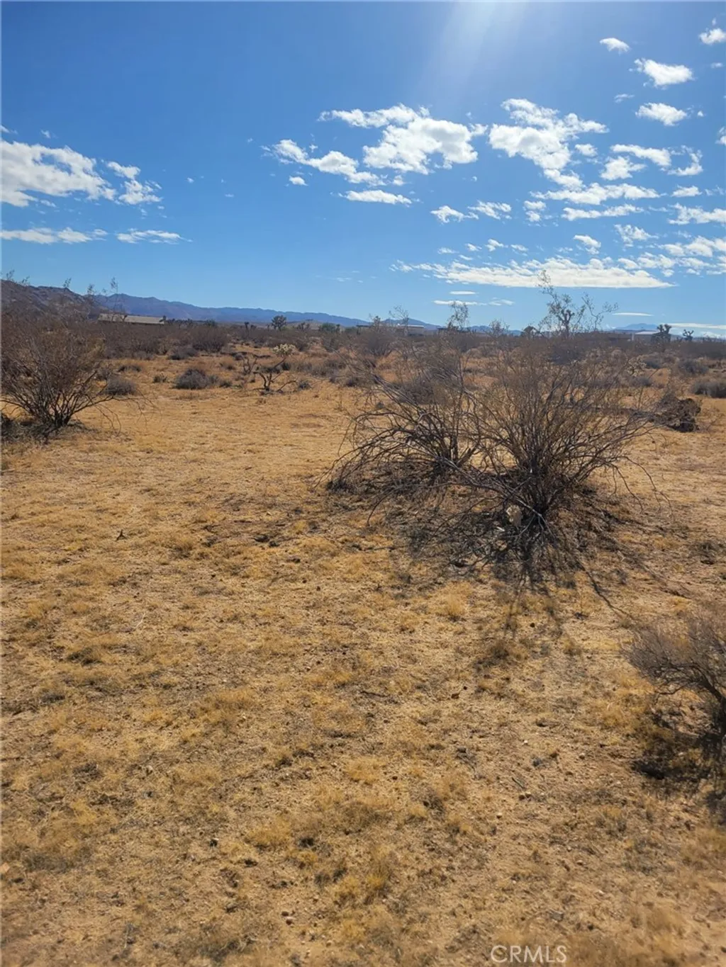 Additional image 3 of Fairmount Dr, Joshua Tree, CA 92252