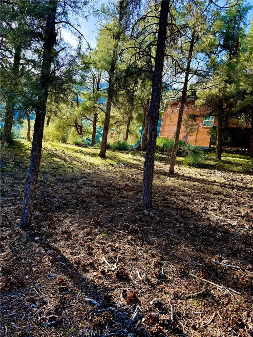 Additional image 7 of 2604 Tirol, Pine Mountain Club, CA 93225