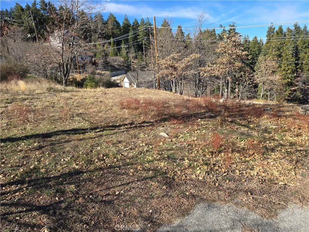 Additional image 6 of 2350 deep creek, Running Springs, CA 92382