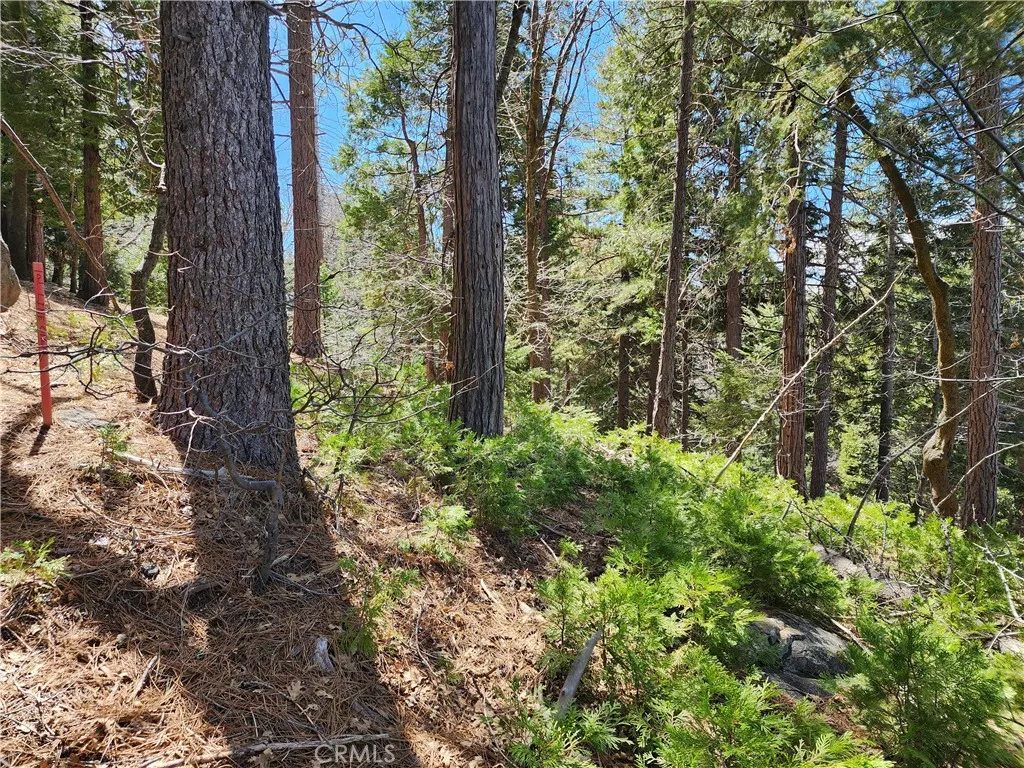 Additional image 13 of 586 Rose Ln, Twin Peaks, CA 92391