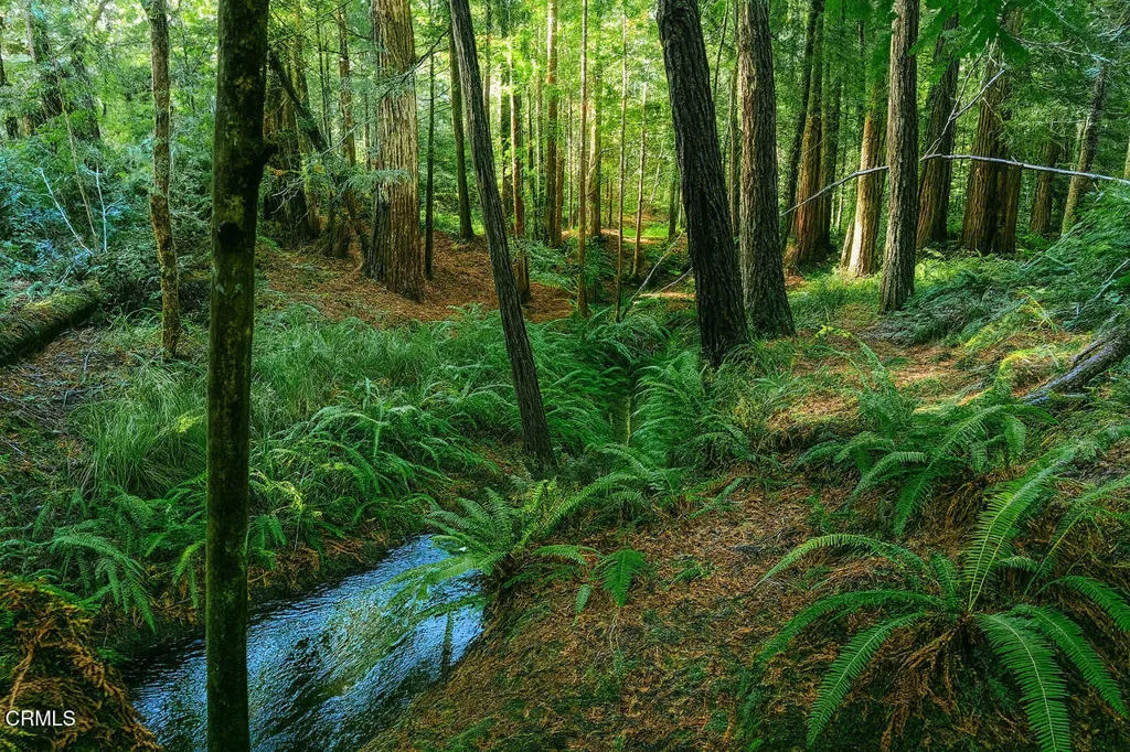 Additional image 8 of 43535 Comptche Ukiah Road, Mendocino, CA 95460