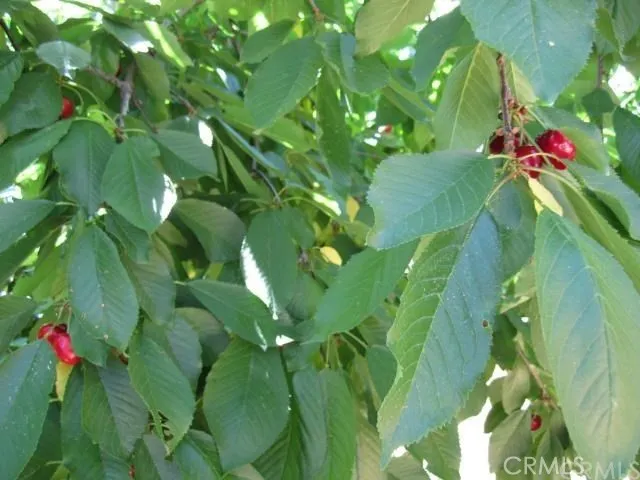 Additional image 2 of 6636 Dolores Dr, Paradise, CA 95969