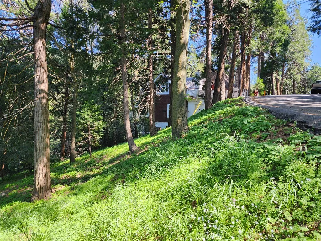 Additional image 33 of 811 Deer Trail, Crestline, CA 92325