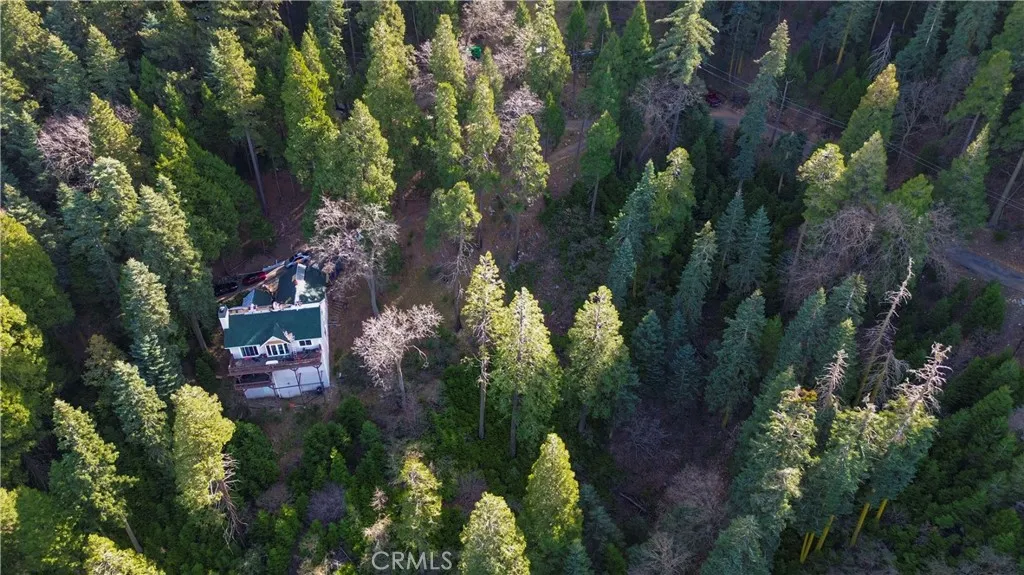 Additional image 30 of 21614 Canyon Vista, Crestline, CA 92322