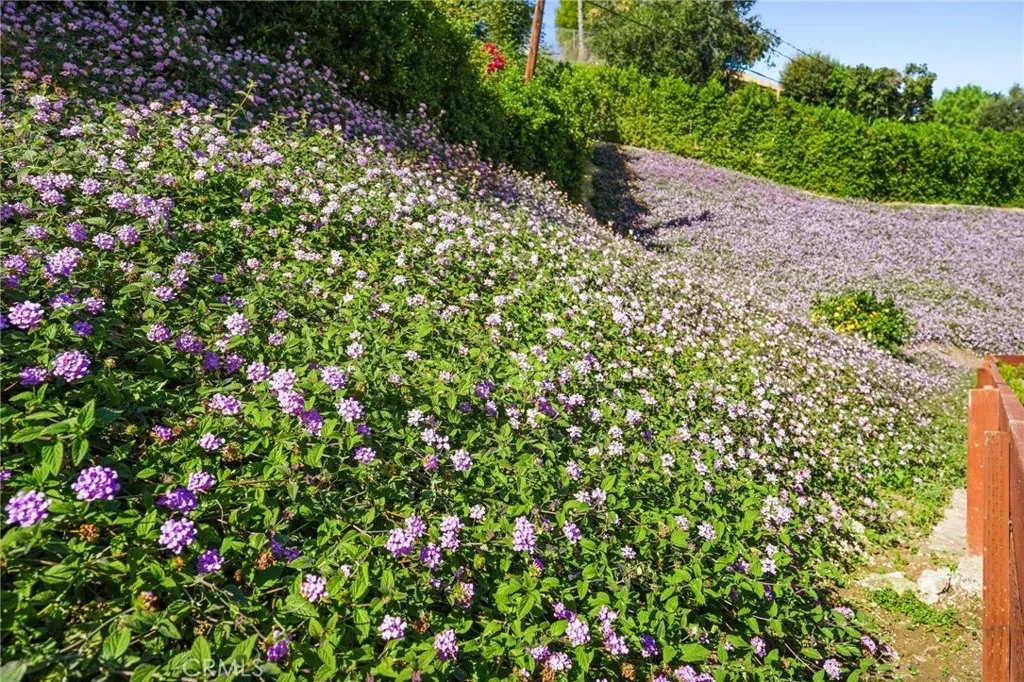 Additional image 48 of 20171 Allentown, Woodland Hills, CA 91364