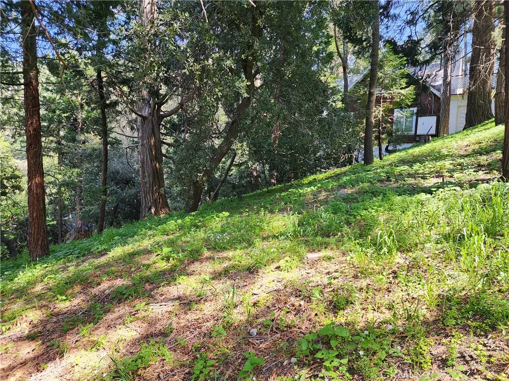 Additional image 18 of 811 Deer Trail, Crestline, CA 92325
