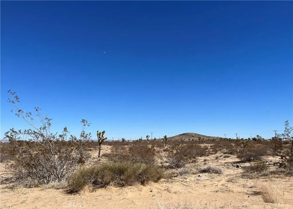 Additional image 6 of Balsa Avenue, Landers, CA 92285