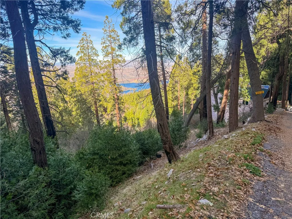 Additional image 36 of 21614 Canyon Vista, Crestline, CA 92322