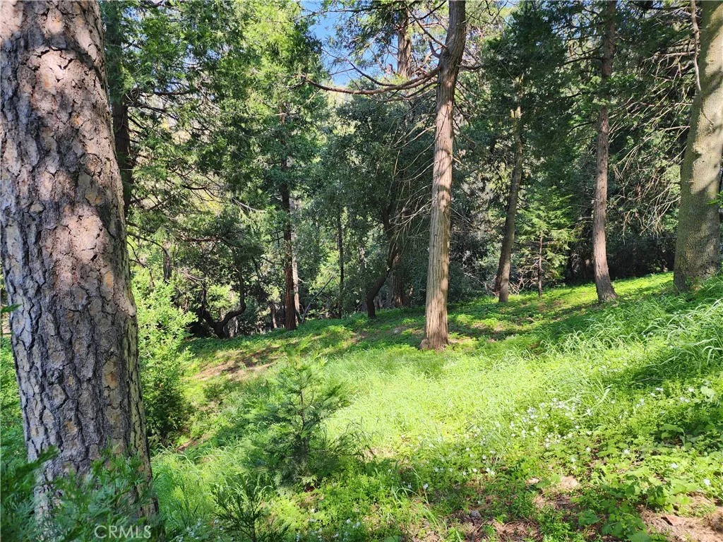 Additional image 6 of 811 Deer Trail, Crestline, CA 92325