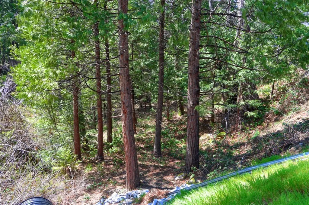 Additional image 28 of Dogwood Creek Drive, Bass Lake, CA 93604