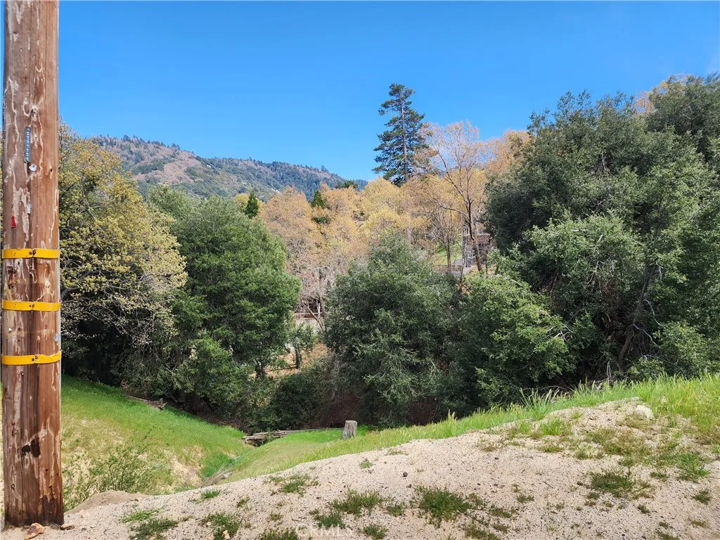 Additional image 33 of 327 Davos Drive, Crestline, CA 92325