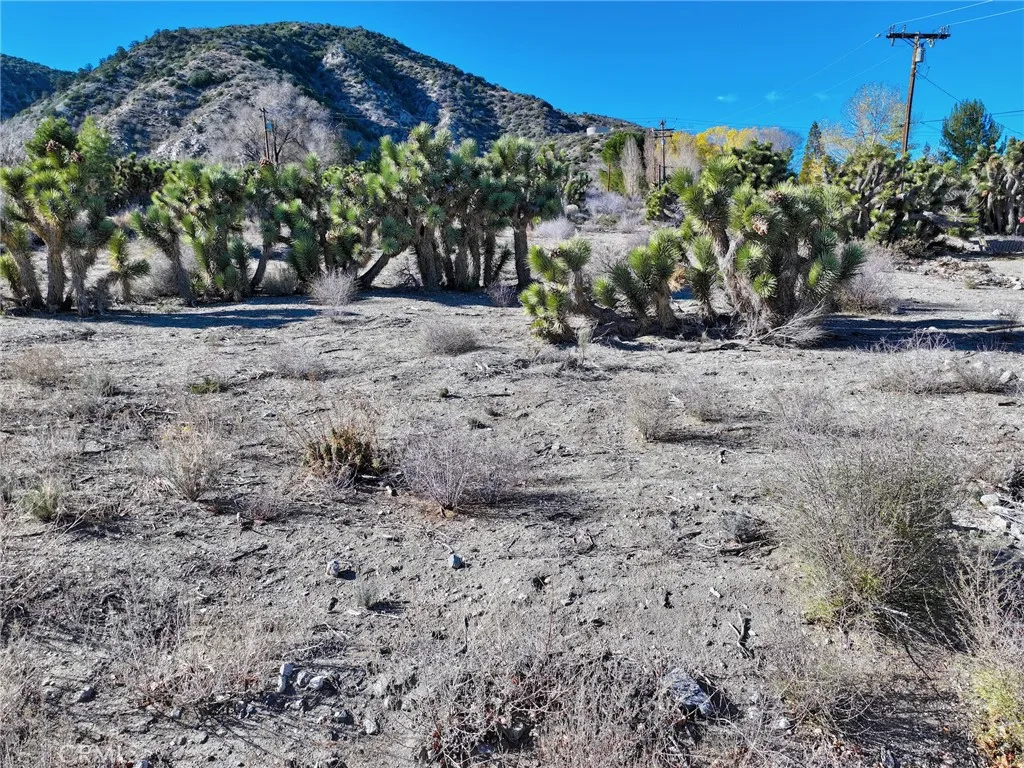 Additional image 22 of 7325 Desert Front Road, Pinon Hills, CA 92397