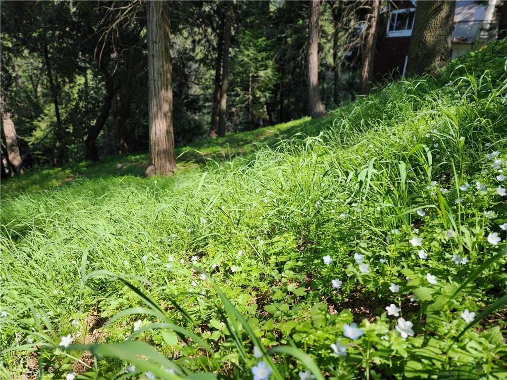 Additional image 37 of 811 Deer Trail, Crestline, CA 92325