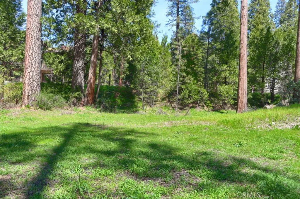 Additional image 8 of Dogwood Creek Drive, Bass Lake, CA 93604