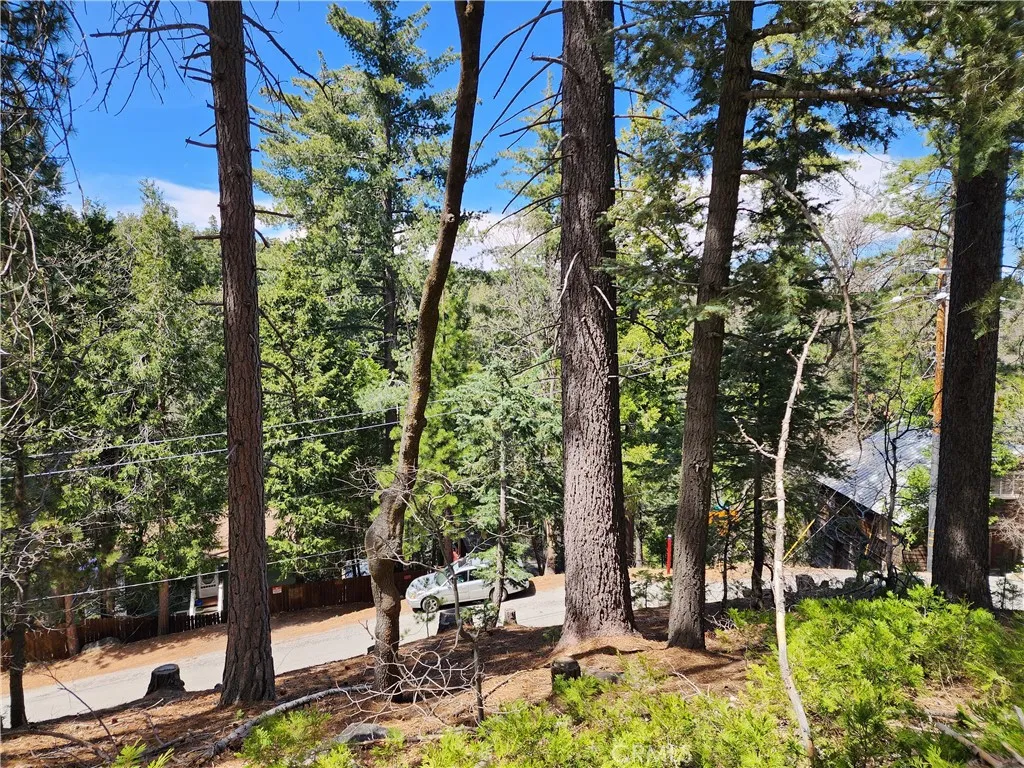 Additional image 38 of 586 Rose Ln, Twin Peaks, CA 92391