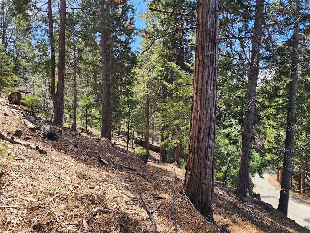 Additional image 39 of 586 Rose Ln, Twin Peaks, CA 92391