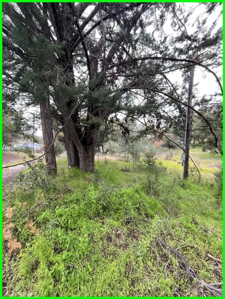 Additional image 19 of 13672 Fair Oak Road, Clearlake, CA 95424