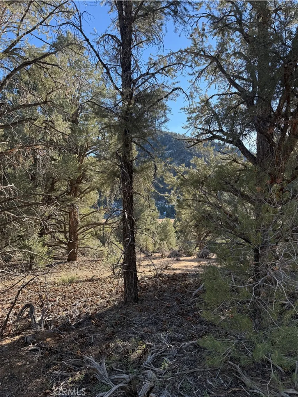 Additional image 9 of 310-190-028 Sacatar Ranch Road, Kennedy Meadows, CA 93527