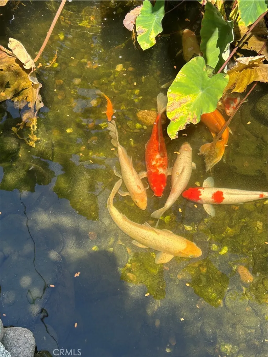 Additional image 14 of 665 N. San Antonio Ave., Upland, CA 91786