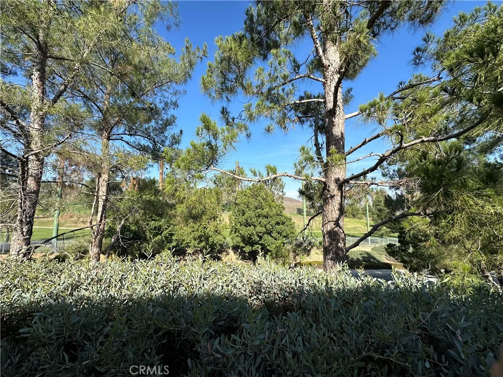 Additional image 22 of 4868 Petersen St, Chino Hills, CA 91709